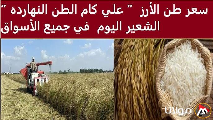 سعر طن الأرز الشعير اليوم الثلاثاء 25 مارس 2025 في كافة الأسواق المصرية