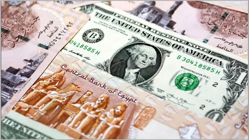 سعر الدولار في السوق السوداء والبنوك المصرية اليوم الاثنين 10 مارس 2025 ( تحديث يومي)