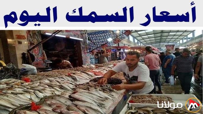 “البلطي بـ 68” أسعار السمك اليوم الأحد 23 مارس 2025 في شادر السمك