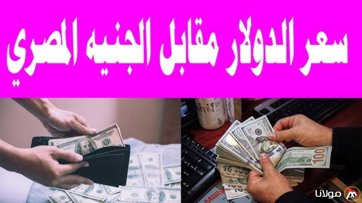 سعر الدولار مقابل الجنيه المصري في السوق السوداء اليوم الاثنين 10-3-2025 (آخر تحديث)