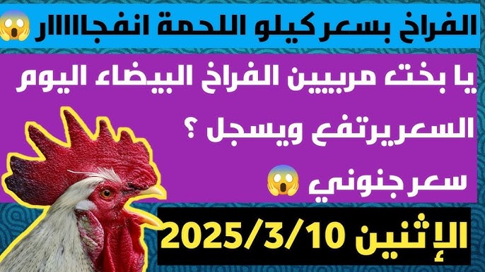 اسعار الدواجن اليوم في مصر الإثنين 10-3-2025 | إرتفاع جنوني لجميع الأنواع في الأسواق