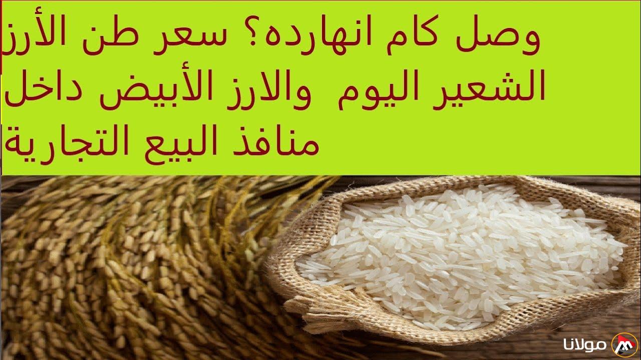 الرفيع والعرض بكام؟ سعر طن الأرز الشعير اليوم الاثنين في منافذ البيع لتجار الجملة