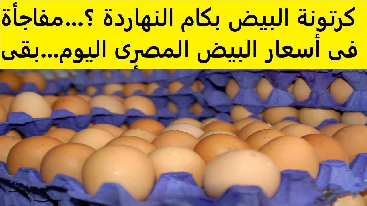 البيضة كم سعرها؟.. سعر البيض اليوم الاثنين 10-3-2025 جملة وقطاعي في بورصة الدواجن