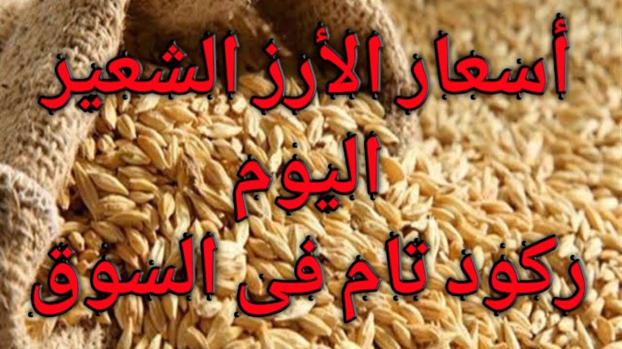 إستقرار اسعار الارز الشعير اليوم الإثنين 10-3-2025 في كافة الأسواق