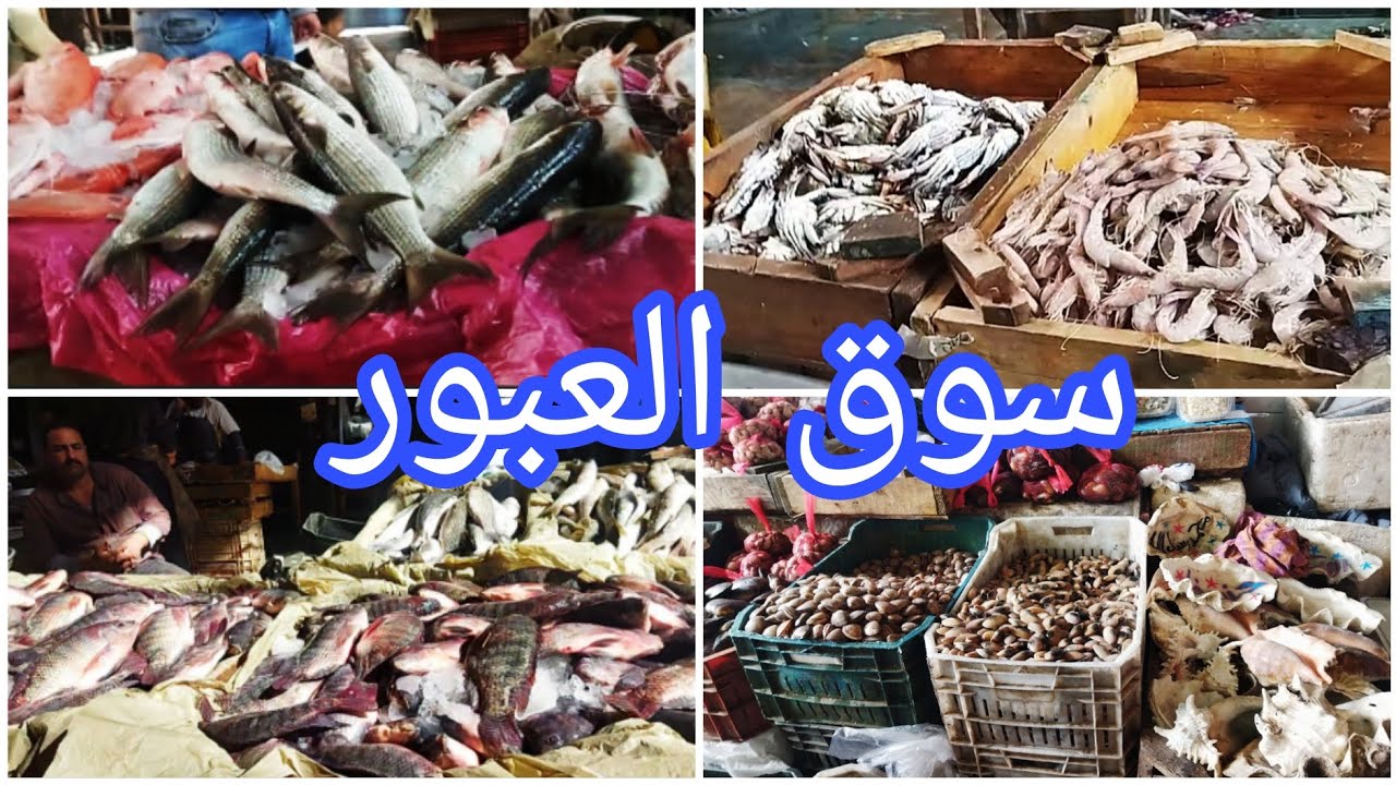اسعار السمك اليوم في سوق العبور الإثنين 10 مارس 2025 | إرتفاع جديد للبلطي