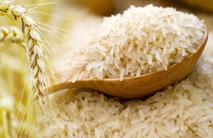 سعر طن الأرز الشعير اليوم الإثنين 10 مارس 2025 في الأسواق المصرية