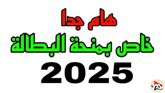 طريقة تجديد منحة البطالة في الجزائر 2025 عبر anem.dz ومتي يتوقف صرف المنحة