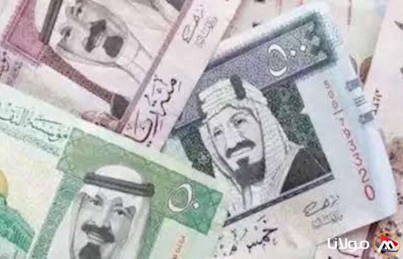 السعودي بكام؟… سعر الريال السعودي مقابل الجنيه المصري اليوم الثلاثاء 25 مارس 2025 وفقا لآخر حديثات البنوك