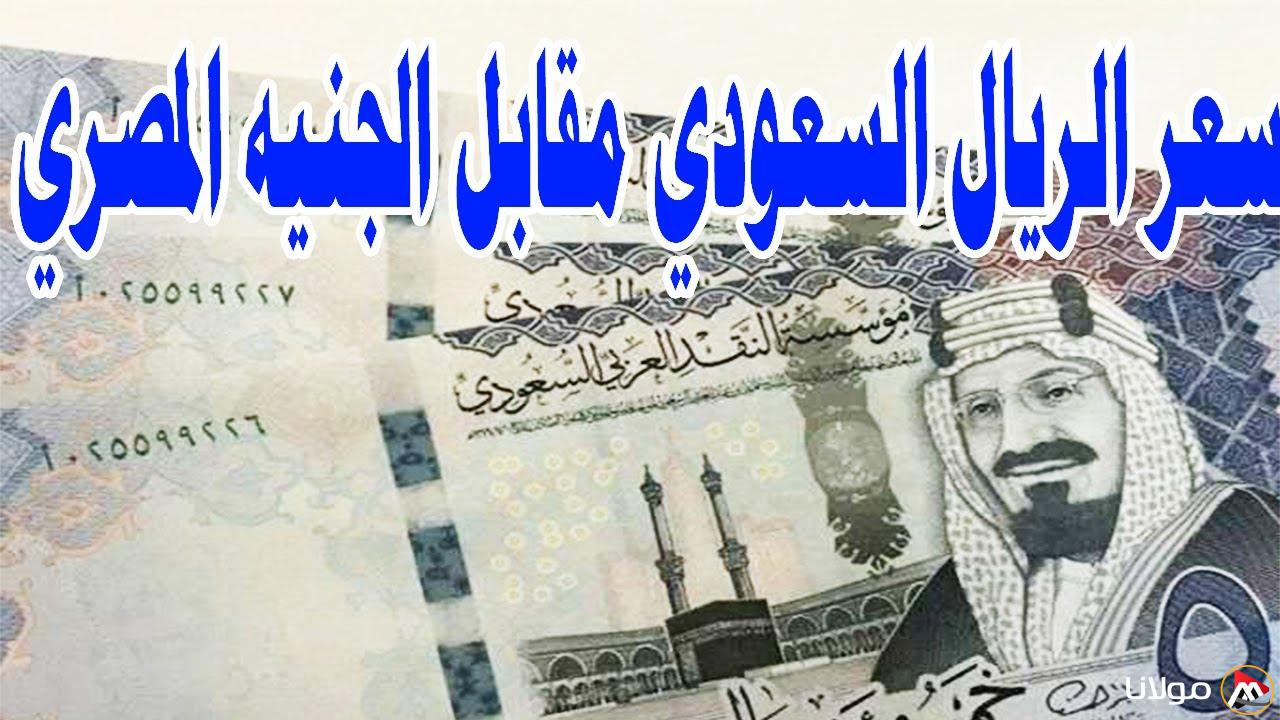 “الريال عامل كام” سعر الريال السعودي مقابل الجنيه المصري اليوم الأحد 16 مارس 2025 في السوق السوداء