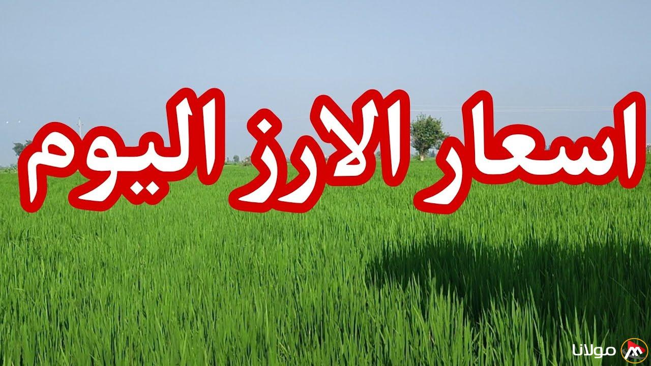 “علي كام الطن النهاردة” سعر طن الأرز الشعير اليوم الاثنين 17 مارس 2025 في الأسواق المصرية