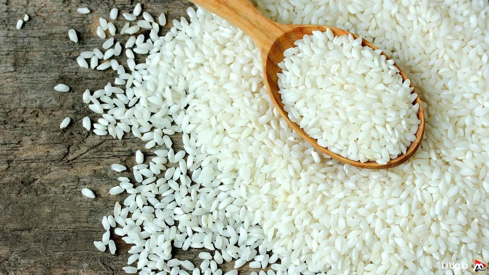 “عريض الحبة بكام” سعر طن الأرز الشعير اليوم الخميس 20 مارس 2025 في الأسواق المحلية