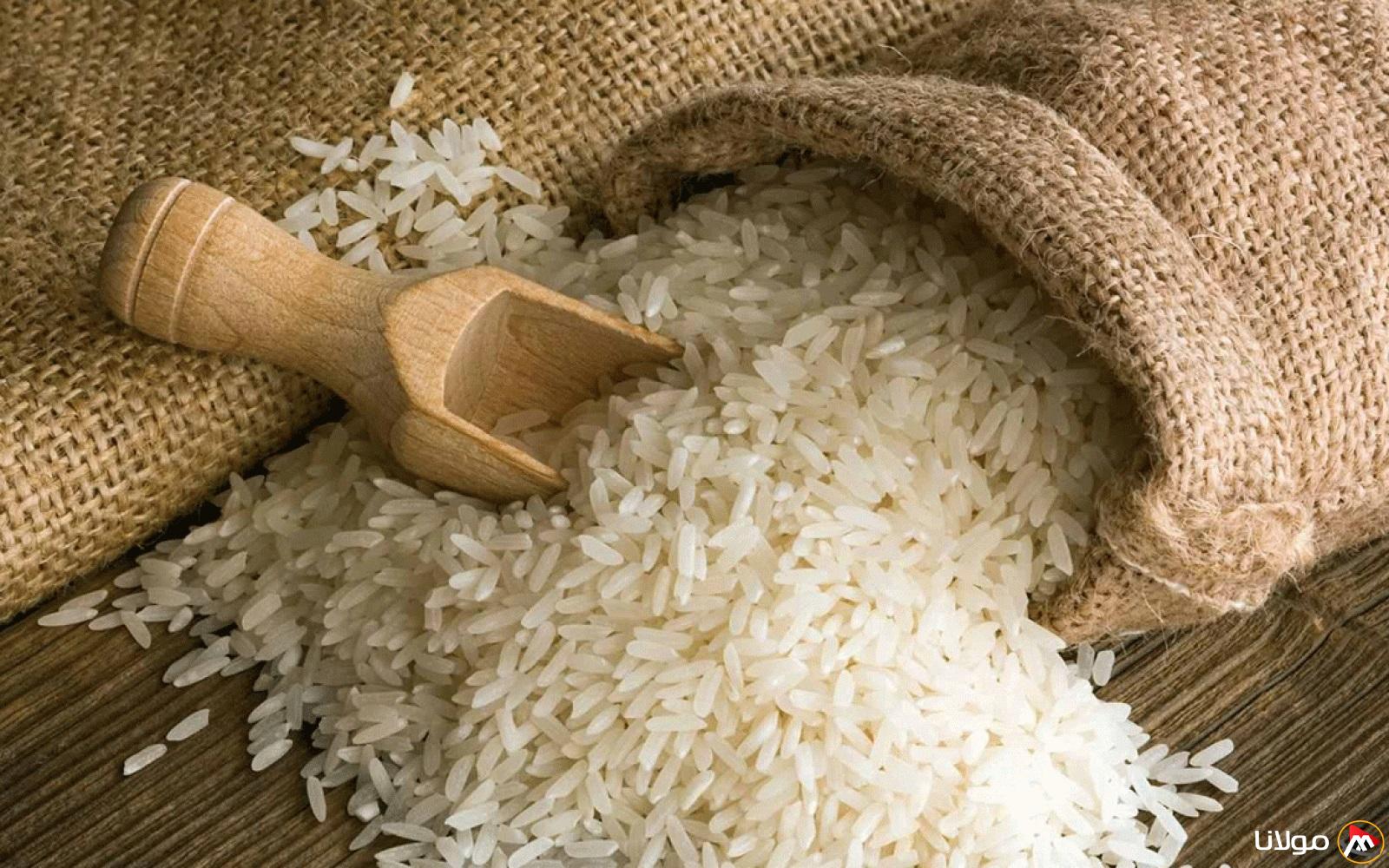 “وصل كام الان؟” سعر طن الأرز الشعير اليوم الاحد 16 مارس 2025 والسلع الاساسية داخل الأسواق