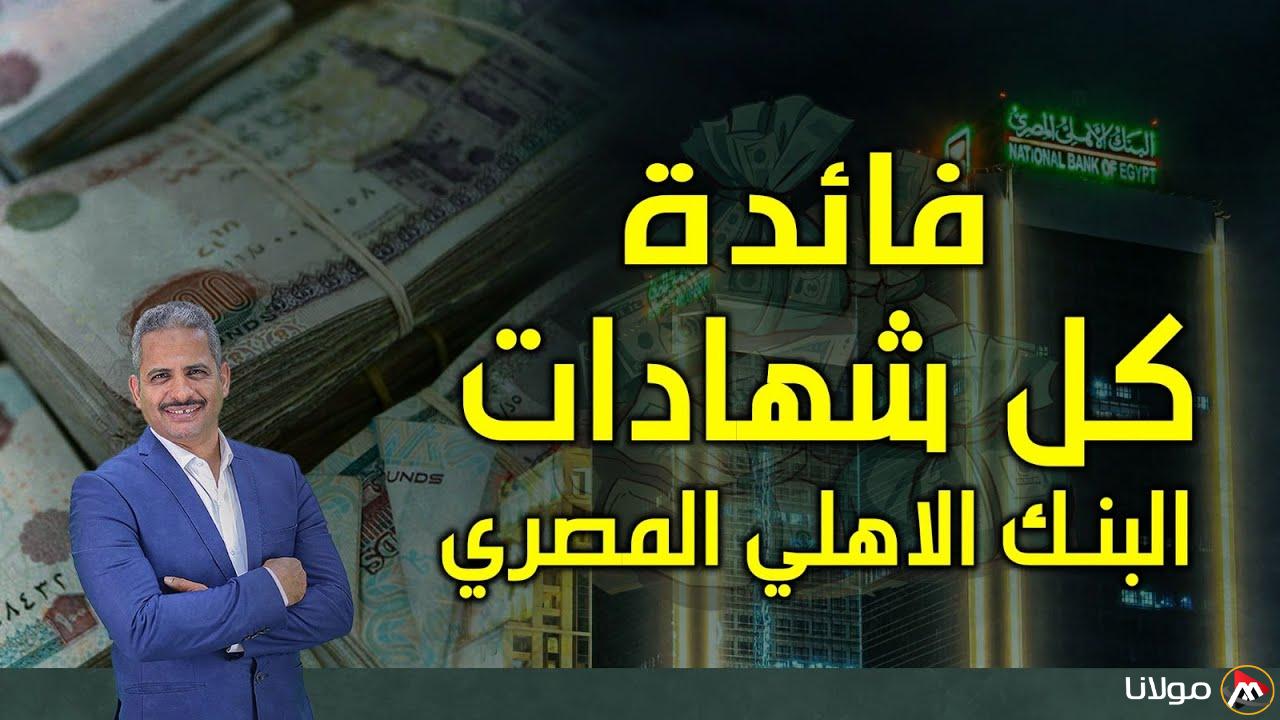 “استثمر بعائد 30%”.. شهادات البنك الأهلي المصري 2025 بالعملات المحلية لو معاك 100 الف تاخد 30 الف سنوياً