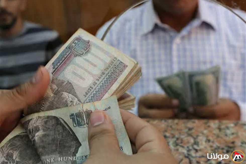 التأمينات تُعلن.. موعد صرف المعاشات شهر ابريل 2025 بعد تبكيرها وجدول شرائح التأمينات الاجتماعية الجديد