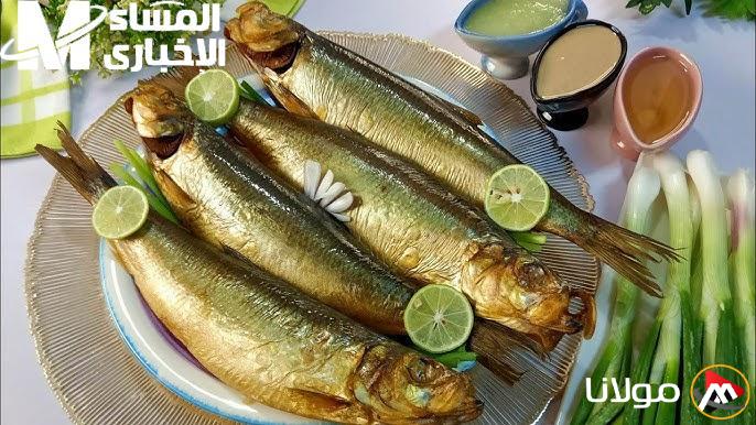 خصمك الشرس في عيد شم النسيم.. الدكتور حسام موافي ينبه هؤلاء الأفراد من استهلاك الفسيخ والرنجة.