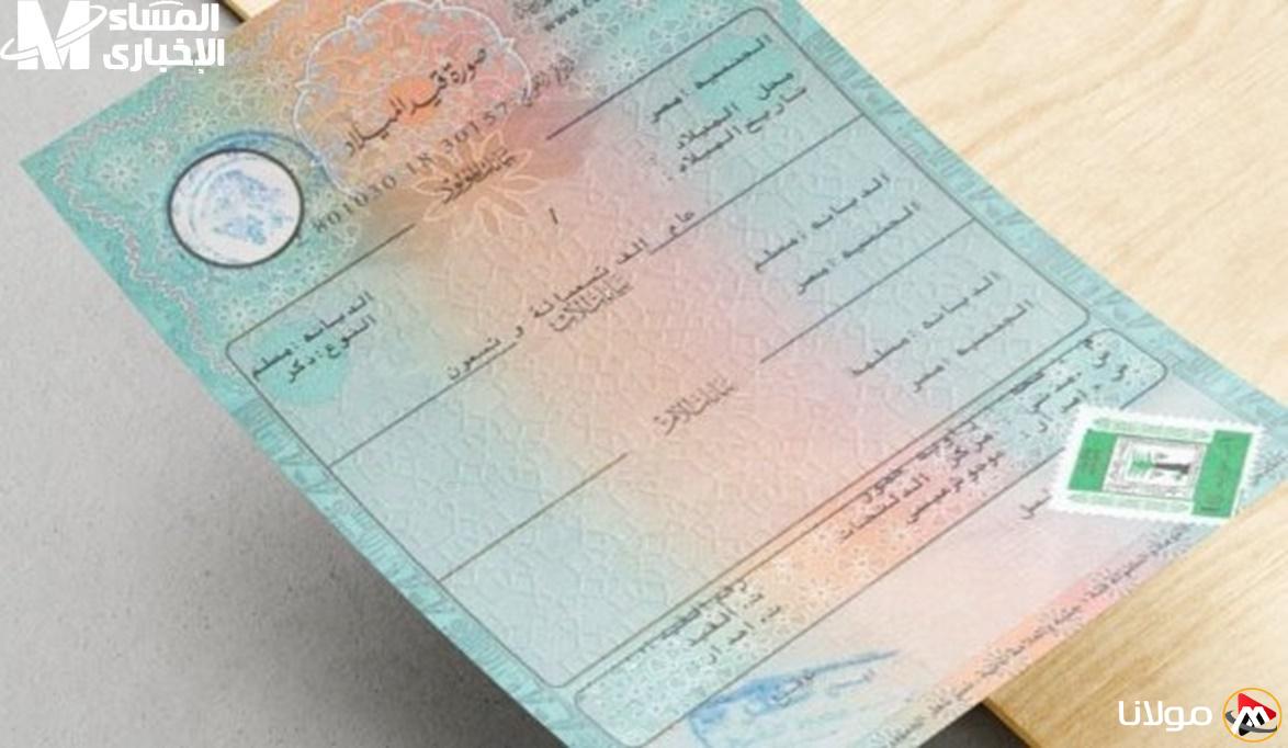 احصل على شهادتك الرقمية للميلاد بسهولة وبنقرة واحدة – إصدار إلكتروني بدون ورق!