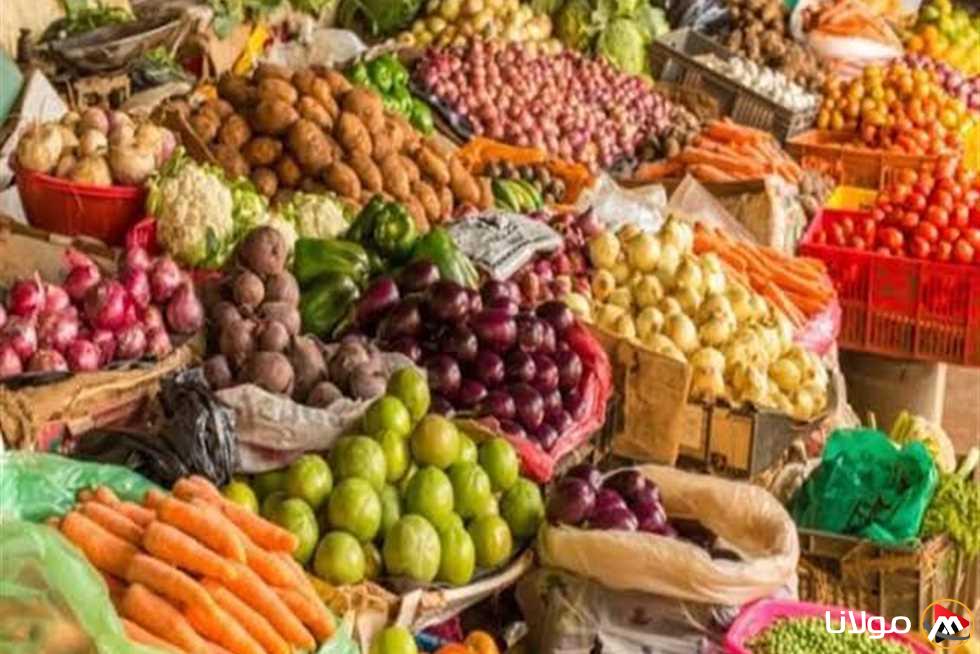 أسعار الطماطم والخيار والخضروات في الأسواق اليوم الخميس 10 أبريل 2025