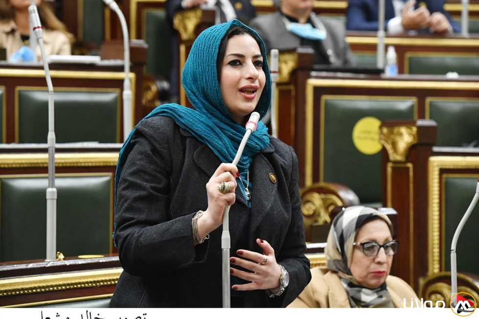 “لوقف تبرعات زائفة”… اقتراح برلماني لإنشاء هيئة وطنية لإدارة النشاط الخيري والإعلامي