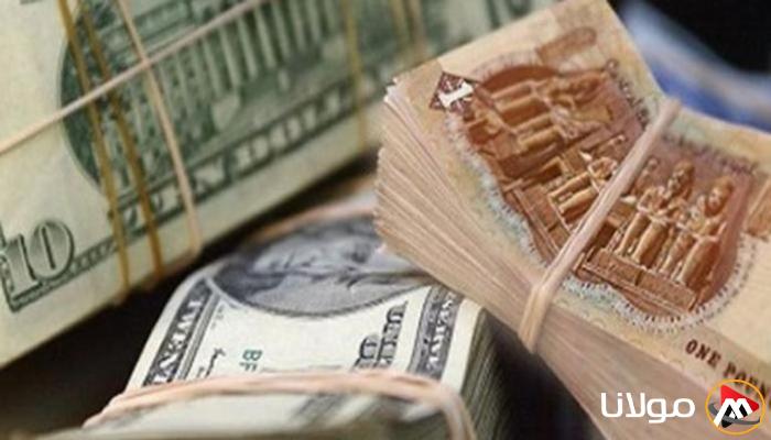 سعر الدولار في مصر اليوم، الأربعاء 23 أبريل 2025.. انخفاض في قيمته
