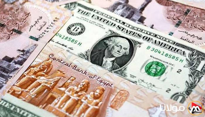 سعر الدولار مقابل الجنيه في مصر اليوم، الأحد 13 أبريل 2025.. استمرار استقرار العملة المحلية.