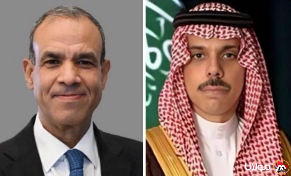 وزيرا خارجية مصر والسعودية يتدارسان عبر الهاتف الجهود المبذولة لوقف النزاع في غزة