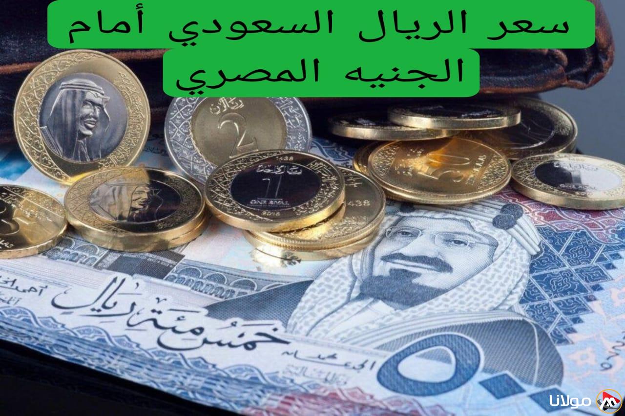 سعر الريال السعودي أمام الجنيه المصري اليوم في كافة البنوك .. زيادة ملحوظة قبل العيد