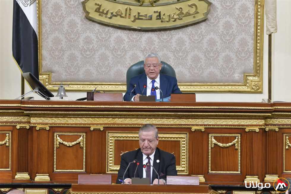 نائب رئيس لجنة حقوق النواب يرفض التقرير النهائي: الحكومة تكبدت خسائر تصل إلى 50 مليار جنيه