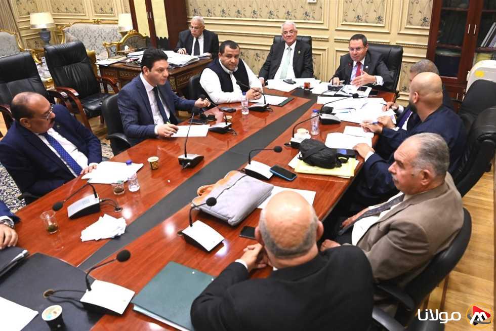 وزير الزراعة: دفع مستحقات مزارعي القطن خلال فترة أسبوعين