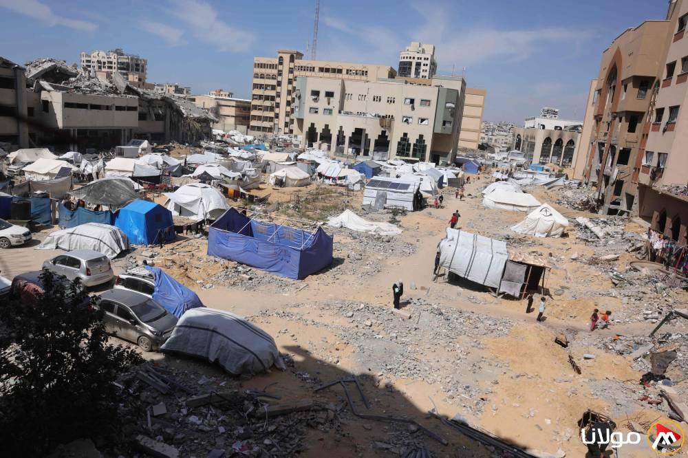 مصر: نرفض التهجير.. واتفاق غزة هو الطريق لتحرير الأسرى