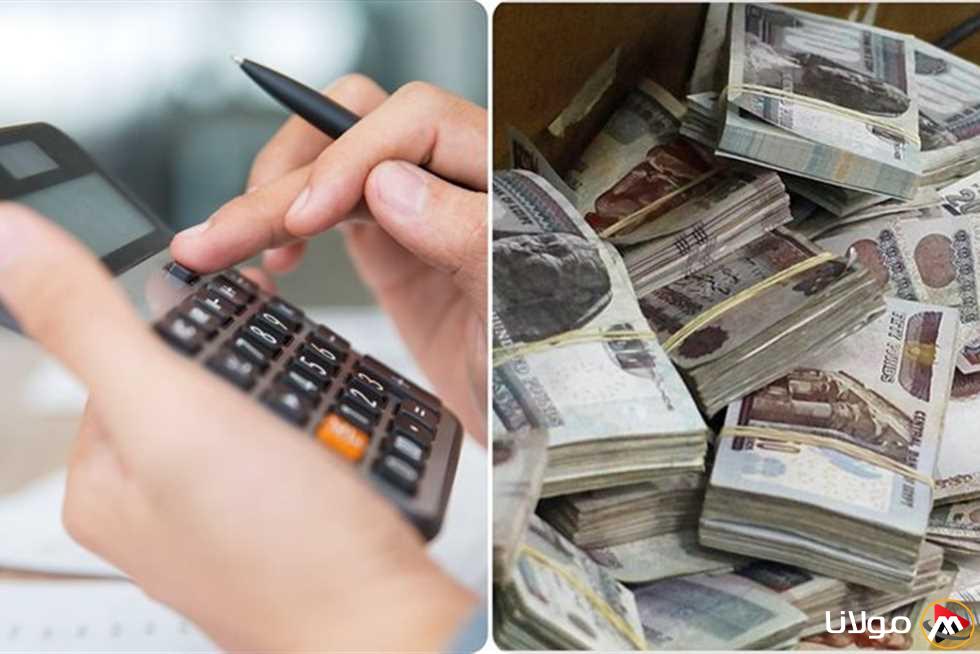 بعد قرار البنك المركزي بتقليص الفائدة.. أعلى عوائد شهادات الادخار 2025 في المصارف.