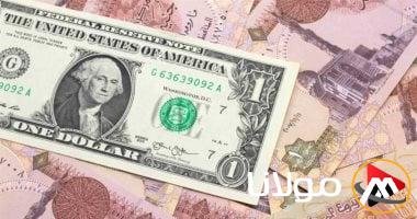 سعر الدولار في بداية الأسبوع الرابع من أبريل.. في البنك المركزي يبلغ 51.06 جنيه