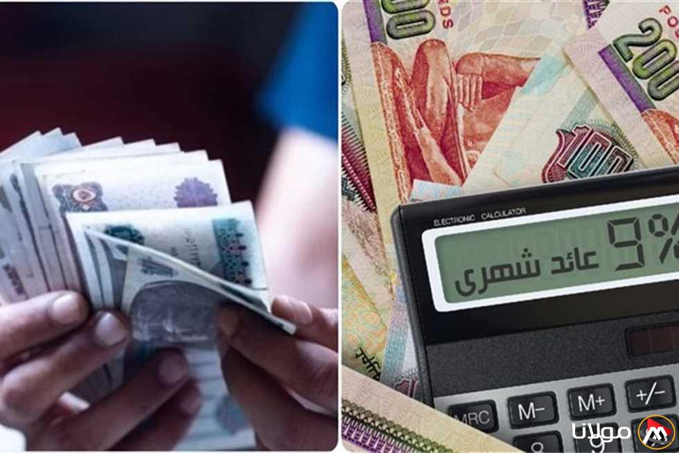 ما هي أنواع شهادات الادخار التي ستتأثر بقرار تقليل سعر الفائدة؟ (تفاصيل)