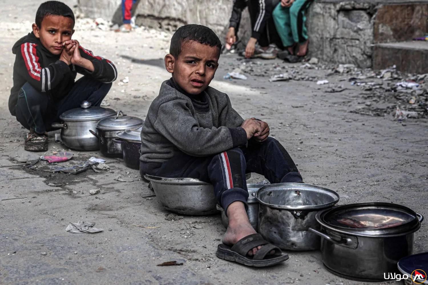 فلسطينيون في غزة يتجهون إلى استهلاك لحم السلاحف خلال أزمة غذائية