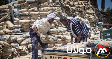 سعر الطن من الأسمنت اليوم، الاثنين 21-4-2025، يبلغ 3350 جنيها.