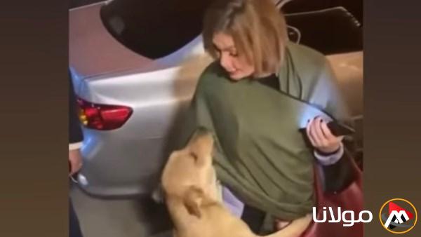 يسرا تلاعب كلاب الشوارع: لا يوجد أفضل من الإنسان الذي يمتلك رحمة في قلبه
