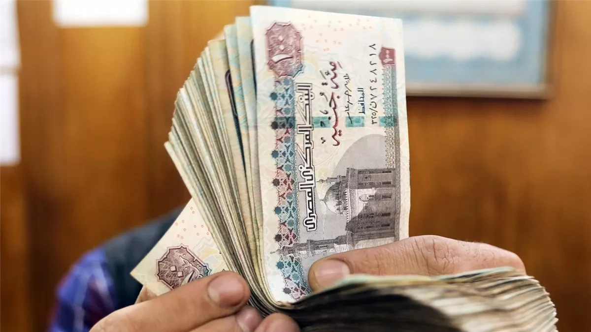 احتفالات تصريحات معاشات 2025: تفاصيل الفرحة التي غيّرت الجدول!