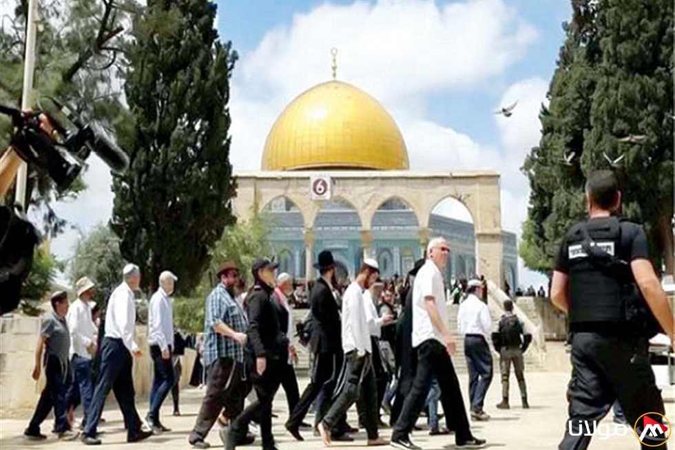 “الجهة الحكومية المسؤولة عن القدس”: الاعتداءات الإسرائيلية على المواقع المقدسة تعد انتهاكًا صارخًا للقانون الدولي