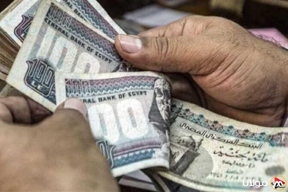 مع الزيادة الجديدة.. تاريخ صرف معاش تكافل وكرامة لشهر مايو 2025 (احسب مستحقاتك)