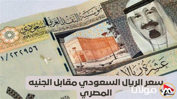 سعر الريال السعودي مقابل الجنيه المصري اليوم الجمعة 25 أبريل 2025 – تحديثات البنك المركزي قبل موسم الحج
