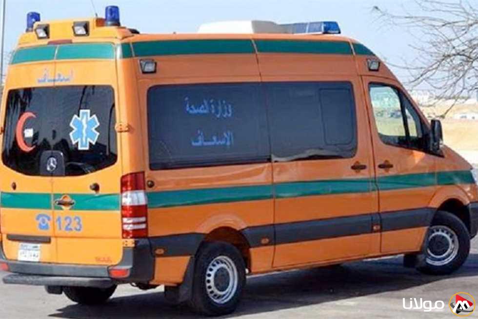 «شجار بين عمال ينهي حياة طالب ويصيب آخر في كفر الدوار»