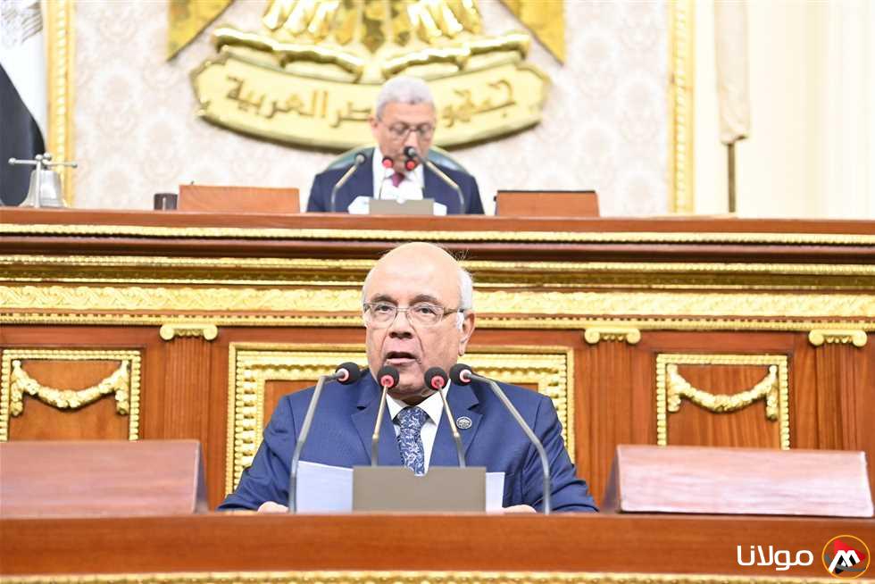 رئيس لجنة الشؤون المحلية في النواب يوضح ارتباط “القومي للعقارات” بتشريعات أخرى ويكشف عن مشكلات التصالح