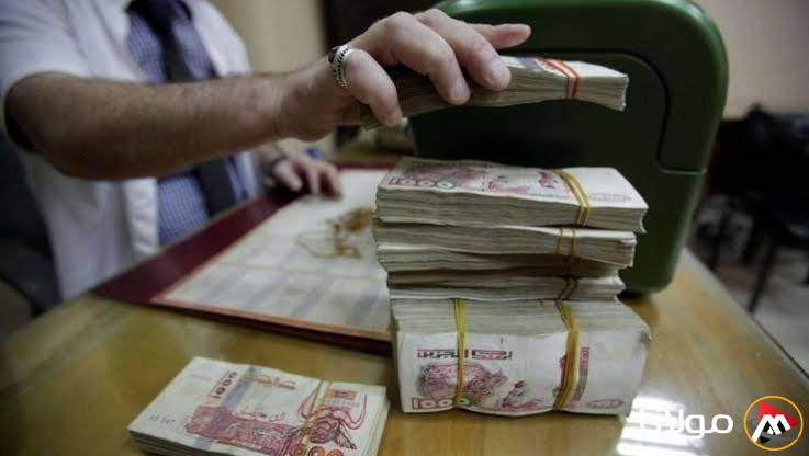 كيفية تجديد منحة البطالة في الجزائر بخطوات إلكترونية وشروط بسيطة
