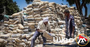 سعر طن الأسمنت اليوم الاثنين 28 أبريل 2025 يصل إلى 3350 جنيهًا