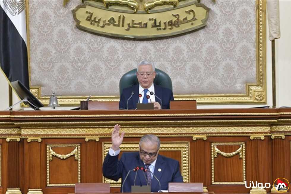 عضو بلجنة صياغة الإجراءات الجنائية يؤكد ضرورة التوافق على مصالح مصر العليا
