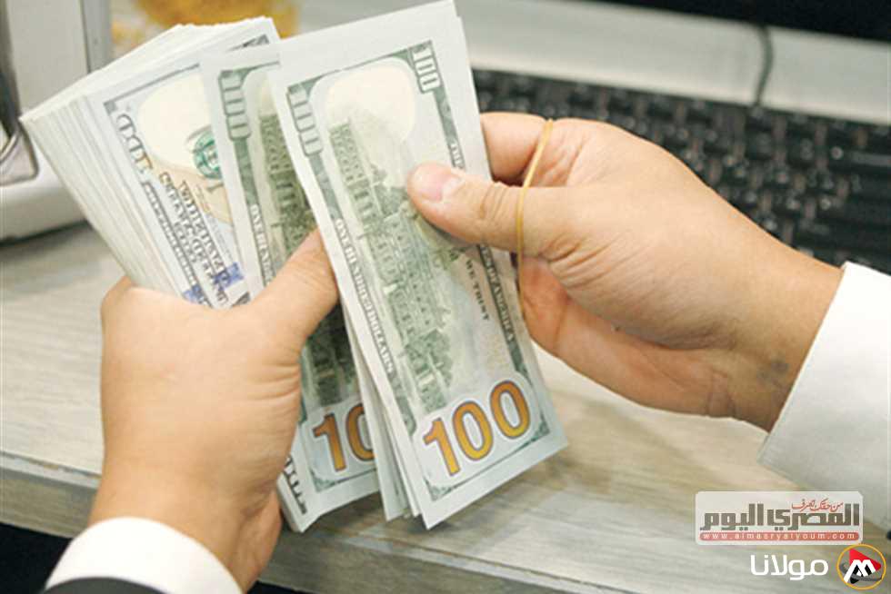 سعر الدولار اليوم الثلاثاء 29 أبريل 2025 في ختام تعاملات البنوك