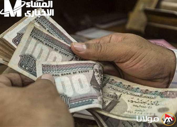 اكتشف مستحقاتك المالية: جدول شرائح التأمينات الجديد وكيف سيؤثر على راتبك الشهري!