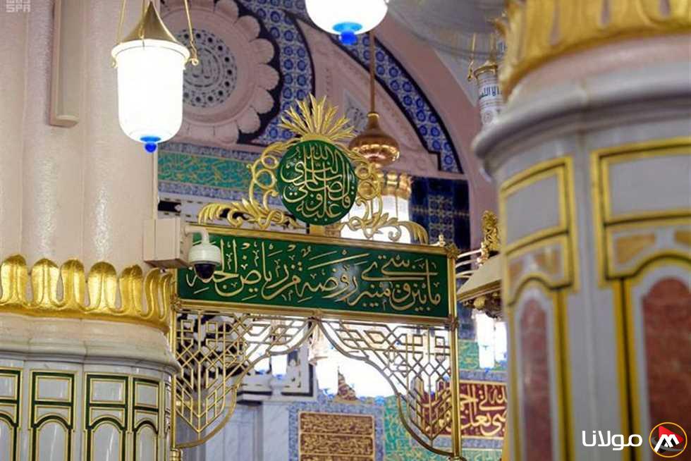 السعودية ت宣布 استقطاب 13 مليون زائر إلى الروضة الشريفة خلال العام المنصرم.