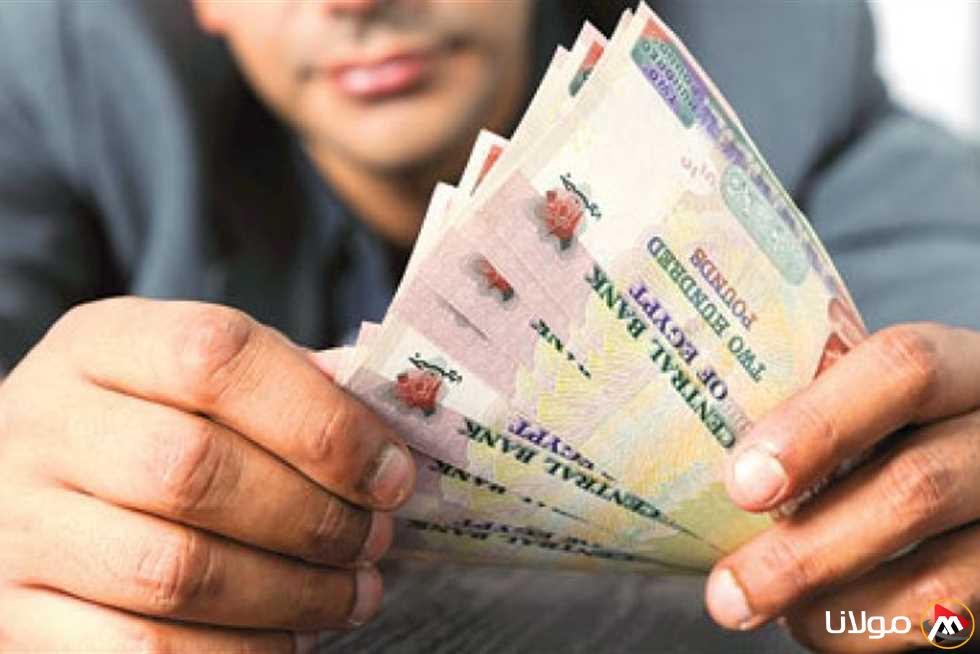 شهادات البنك الأهلي المصري: أعلى عوائد الادخار لعام 2025 تصل إلى 27%