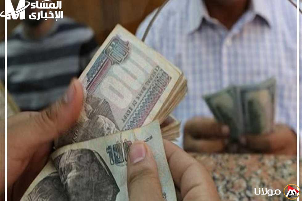 جدول المرتبات 2025: فرحة الموظفين تبدأ منذ اللحظة الأولى!