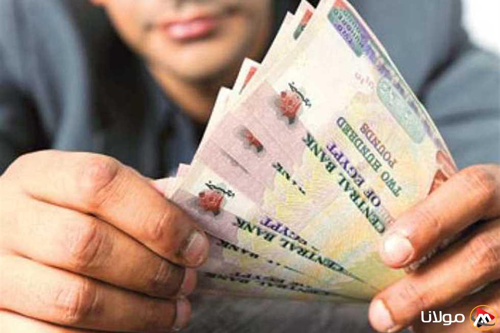 شهادات البنك الأهلي بعد تخفيض الفائدة: أفضل خيارات الادخار لعام 2025 بمعدل عائد يبلغ 27%
